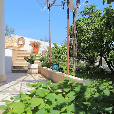 With Parking Space Seget Vranjica, - 11273 아파트 *