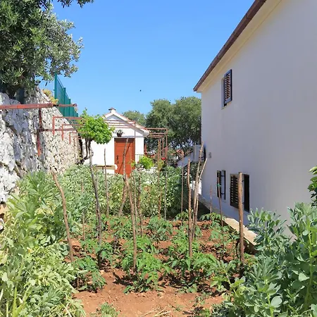 With Parking Space Seget Vranjica, - 11273 Appartement